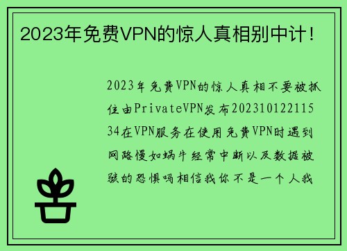 2023年免费VPN的惊人真相别中计！