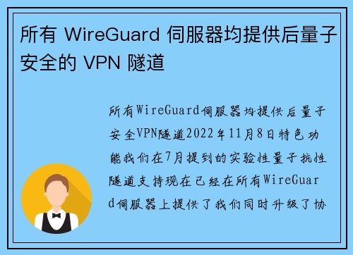 所有 WireGuard 伺服器均提供后量子安全的 VPN 隧道 